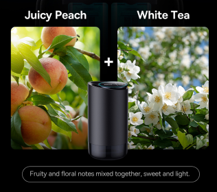 Intelligent Car Aromatherapy Machine Spray Odor Removal Car Perfume (Option: White Tea Peach-Black-USB)